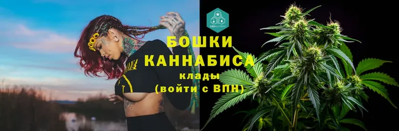 Бошки Шишки White Widow  mega онион  Дятьково 